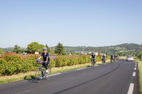 法國單車遊學團